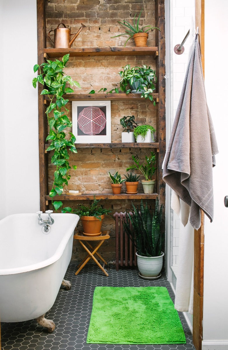 Een botanische badkamer: de beste planten voor in je badkamer
